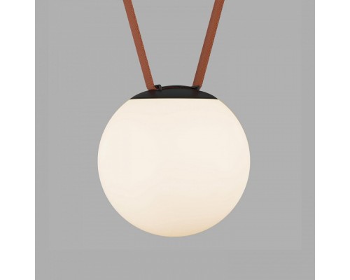 Накладной светильник Denkirs BELTY ORB DK5553-BK Накладной светильник Denkirs BELTY ORB DK5553-BK