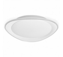 Накладной светильник Ambrella Light FF FF44
