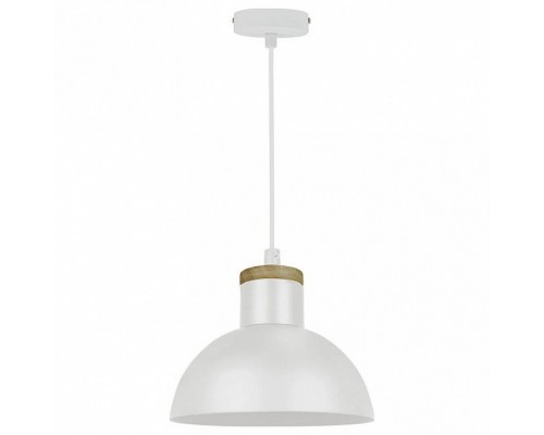 Подвесной светильник Zumaline Jose P15079-D22