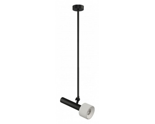 Светильник на штанге iLedex Technical Delta 2361-1 BK+WH