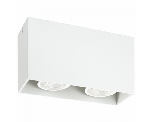 Накладной светильник Denkirs DK2005 DK2028-WH Накладной светильник Denkirs DK2005 DK2028-WH