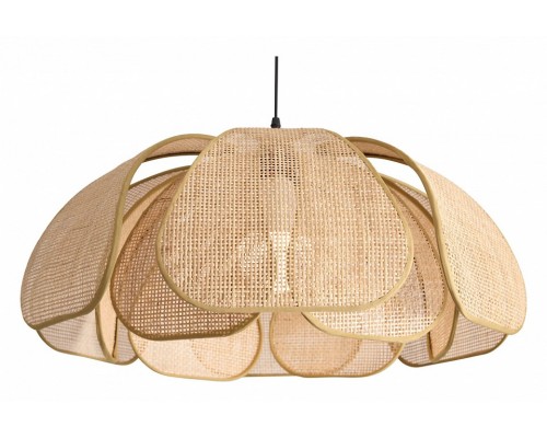 Подвесной светильник Freya Cocoon FR5529PL-01B