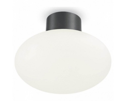 Накладной светильник Ideal Lux Clio CLIO MPL1 ANTRACITE Накладной светильник Ideal Lux Clio CLIO MPL1 ANTRACITE