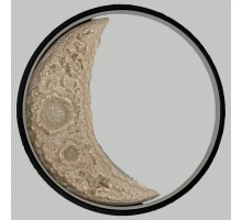 Бра Alfa-Light F0324 F0324-40