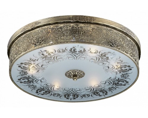 Накладной светильник Odeon Light Aster 2782/6C