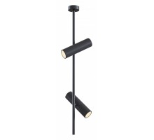 Светильник на штанге Maytoni Technical Elti C021CL-02B