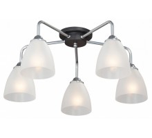 Потолочная люстра Vitaluce  V4952-9/5PL