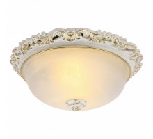 Накладной светильник Arte Lamp Torta A7151PL-2WG