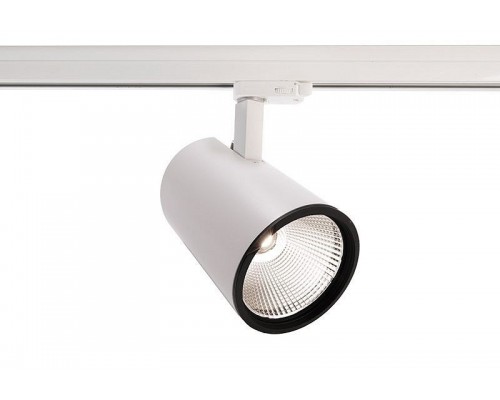 Светильник на штанге Deko-Light Luna 707019 Светильник на штанге Deko-Light Luna 707019