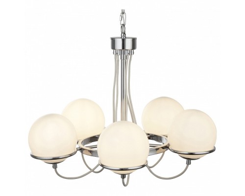 Подвесная люстра Arte Lamp Bergamo A2990LM-5CC Подвесная люстра Arte Lamp Bergamo A2990LM-5CC
