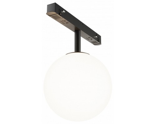 Светильник на штанге Maytoni Technical Luna TR038-2-5W4K