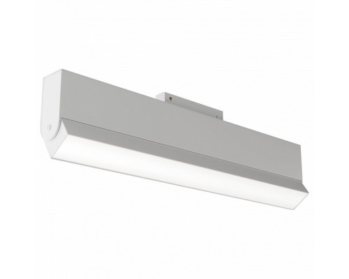 Светильник на штанге Maytoni Basis TR013-2-20W3K-W