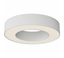 Накладной светильник Maytoni Technical Lua C093CL-24W3K-W