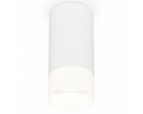 Накладной светильник Ambrella Light XS XS8161003