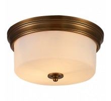 Накладной светильник Arte Lamp Alonzo A1735PL-3SR