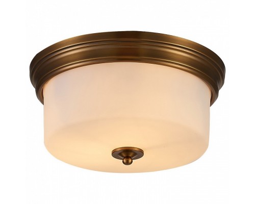 Накладной светильник Arte Lamp 1735 A1735PL-3SR