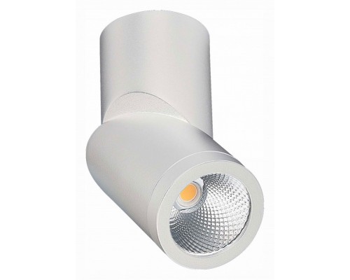 Светильник на штанге ST-Luce ST650 Светильник на штанге ST-Luce ST650