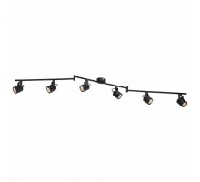 Спот Arte Lamp 1310 A1310PL-6BK