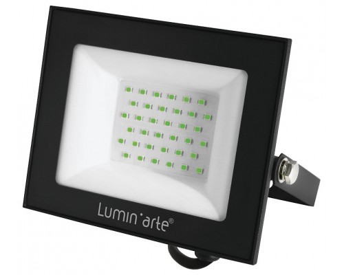 Настенно-потолочный прожектор Luminarte LFL LFL-50W/07