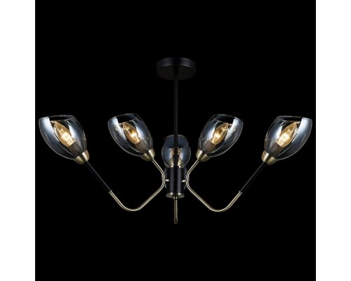 Люстра на штанге ILLUMICO  IL9960-6CSQ-79 BK AB