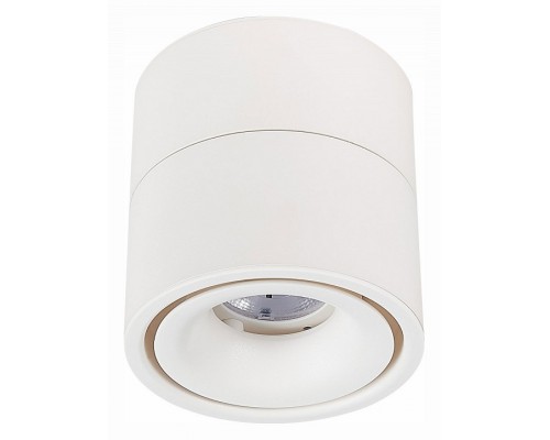 Светильник на штанге ST-Luce ST652 Светильник на штанге ST-Luce ST652