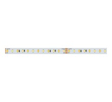Лента светодиодная Arlight  025209(2)