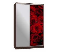 Шкаф-купе Рио 9-600 89