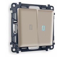 Выключатель проходной двухклавишный с подсветкой Ambrella Volt Quant MA364040