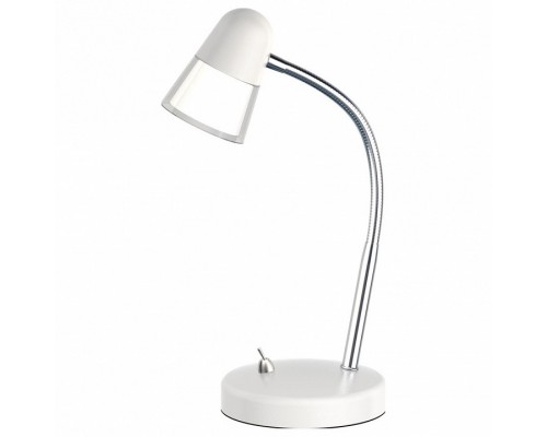 Настольная лампа офисная Horoz Electric Buse