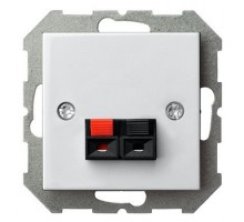 Розетка акустическая без рамки LIREGUS EPSILON 28-036