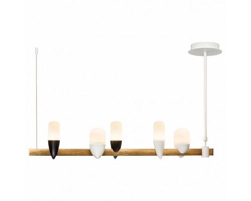 Светильник на штанге Loft it Whisper 1028-5WH