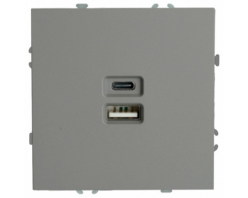 Розетка 2хUSB type A и C без рамки Stekker Эмили 49957