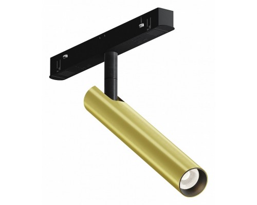 Светильник на штанге Maytoni Technical Focus T TR141-2-6W3K-M-BS
