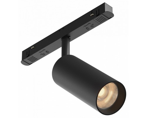 Светильник на штанге Maytoni Technical Artisan TR097-2-12W3K-M-BB