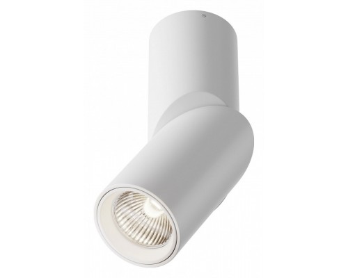 Светильник на штанге Maytoni Technical Dafne C027CL-L10W4K