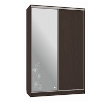 Шкаф-купе Рио 1-600 токио