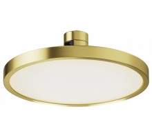 Накладной светильник Maytoni Plato TR153-1-10W4K-BS