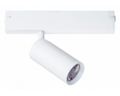 Светильник на штанге Lightstar Teta 205026 Светильник на штанге Lightstar Teta 205026