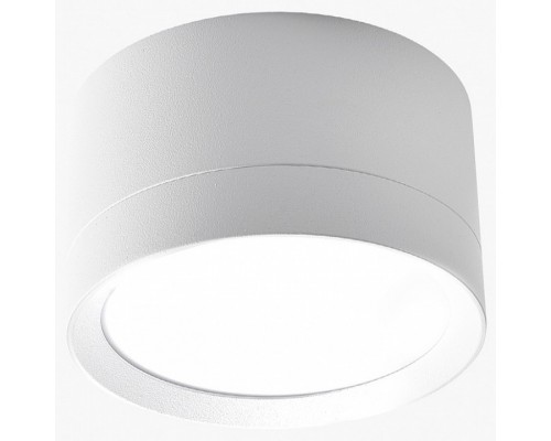 Накладной светильник LEDS POWER SPOT 009384 Накладной светильник LEDS POWER SPOT 009384