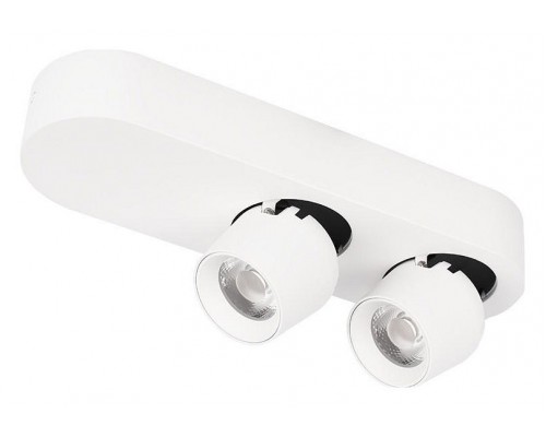 Накладной светильник Loft it Quiet 10320/2 White Накладной светильник Loft it Quiet 10320/2 White