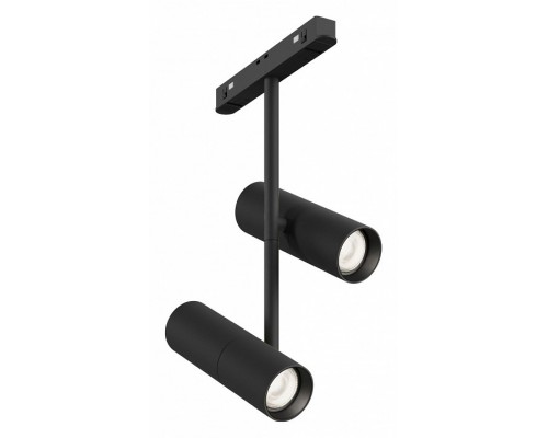 Светильник на штанге Maytoni Technical Elti Duo TR005-2-2X12W4K-B