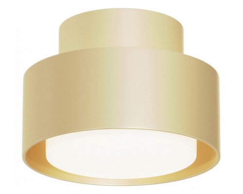 Накладной светильник Maytoni Technical Space C092CL-GX53-MG