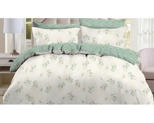 Постельное белье евростандарт Pure cotton Постельное белье евростандарт Pure cotton