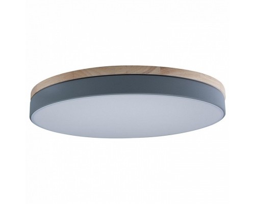 Накладной светильник Loft it Axel 10001/36 Grey