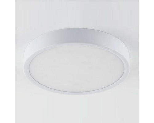 Накладной светильник Elektrostandard DLR034 a043015