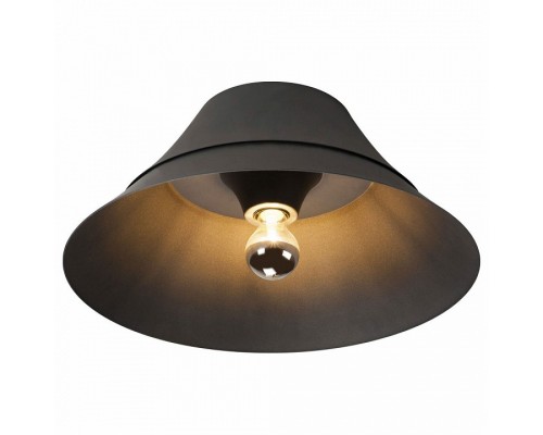 Накладной светильник SLV Bato 1000443