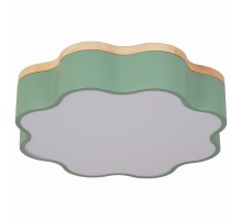 Накладной светильник Escada 10208 10208/1LED (Green)