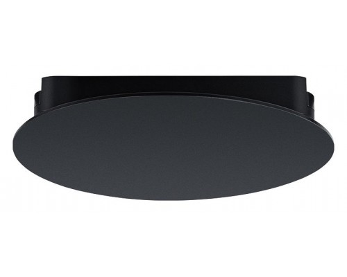 Накладной светильник Arte Lamp Rapid A6163PL-1BK
