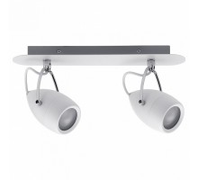 Спот Paulmann Drop 66715