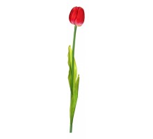 Цветок (60 см) Тюльпан 23-272